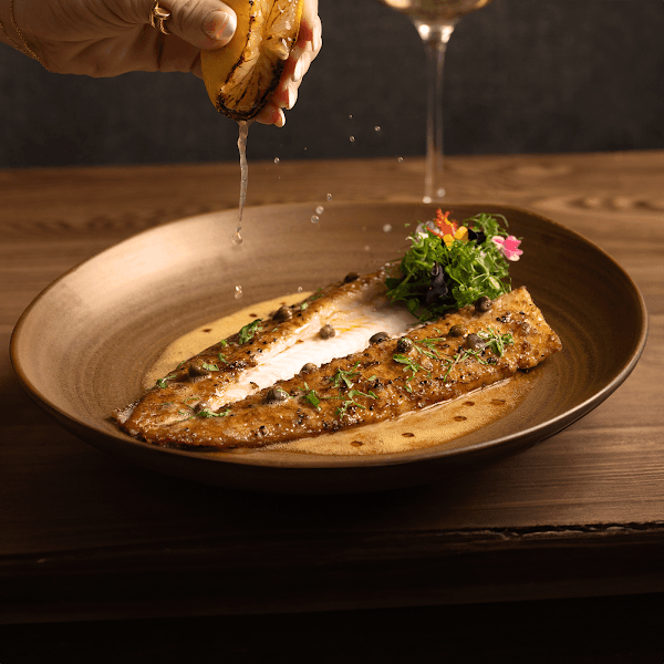 Meduza Mediterrania - New York photo 1