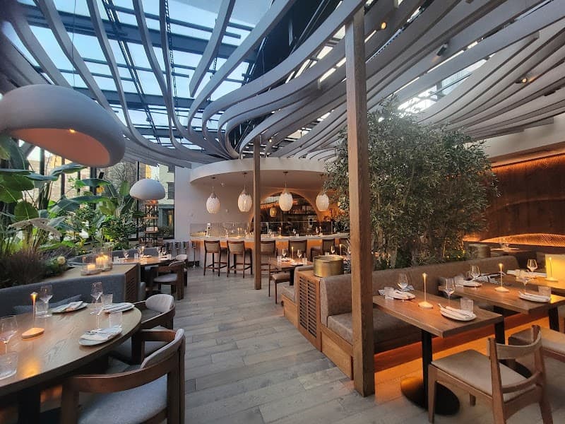 Meduza Mediterrania - New York photo 3