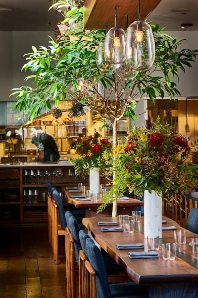 Sorrel — Pacific Heights