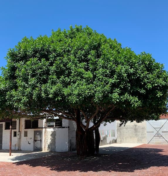 Sunny's Steakhouse photo 3